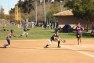 20120303083.jpg
